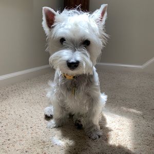 Meet your Posher, Naomi